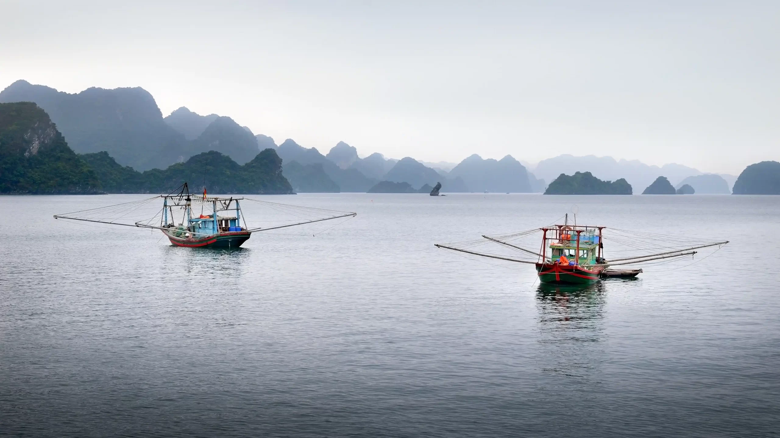 2-Squid-Fishing-Boats